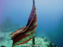 US flag aft section of Speigel Grove off Key Largo, Florida. by Steven Gollehon 